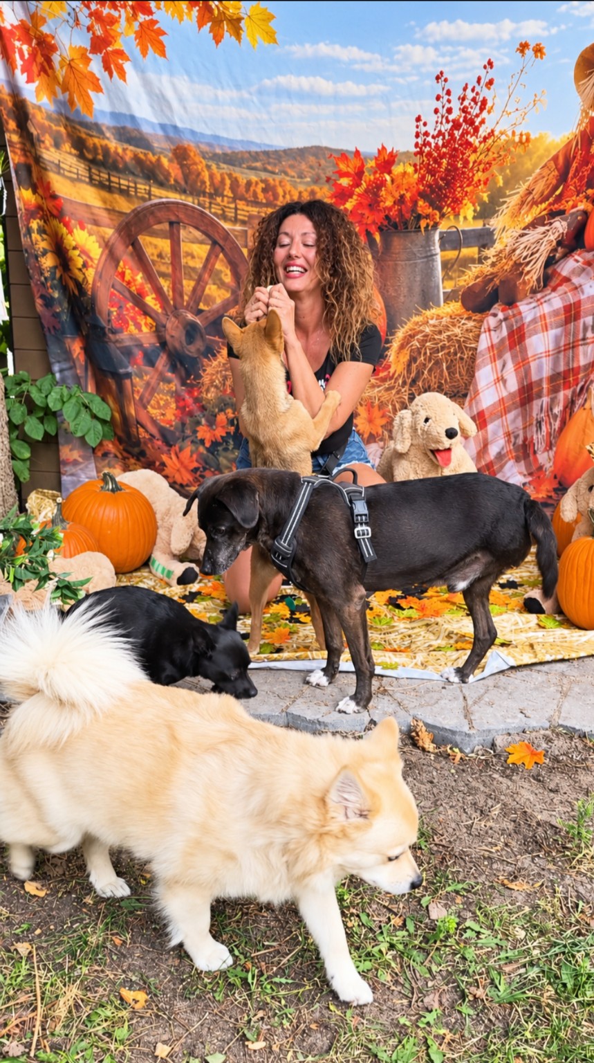 Steph smiling with a small dog at The Pup’kin Patch autumn photo setup, with two dogs in the foreground